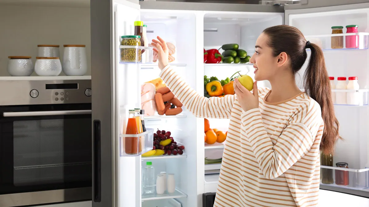 Las mejores marcas de refrigeradores (2023)